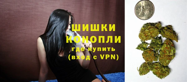 дживик Осташков