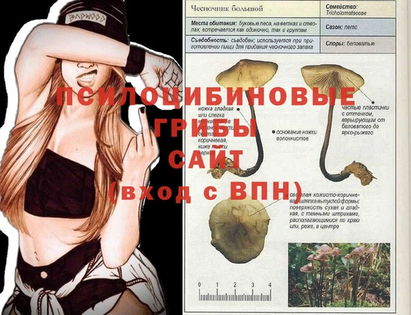 прущая мука Осинники