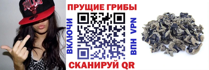 Галлюциногенные грибы Magic Shrooms  OMG ССЫЛКА  Лабытнанги 