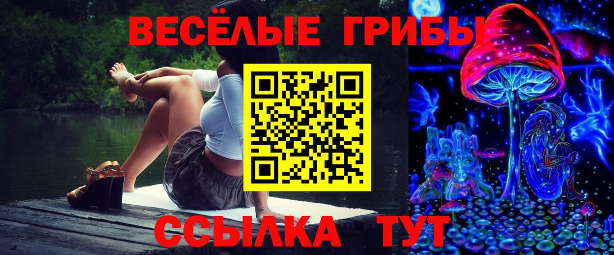 Галлюциногенные грибы Psilocybe  Вход с VPN  Лабытнанги  Псилоцибиновые грибы мухоморы 