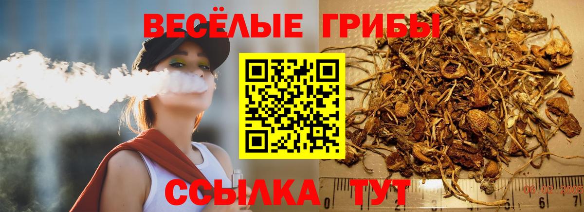 как найти закладки  Лабытнанги  Псилоцибиновые грибы Psilocybe 